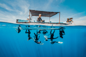 2025索尼世界摄大赛 作者